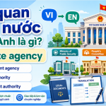 Cơ quan nhà nước tiếng Anh là gì