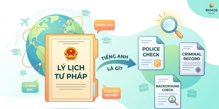 lý lịch tư pháp tiếng Anh là gì