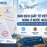 Bản dịch giấy tờ Việt Nam dùng ở nước ngoài có cần Apostille không